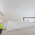 Rakóczi *
